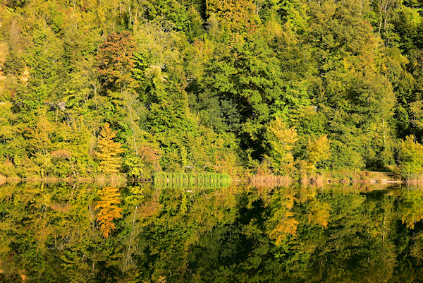 Yoga Herbst